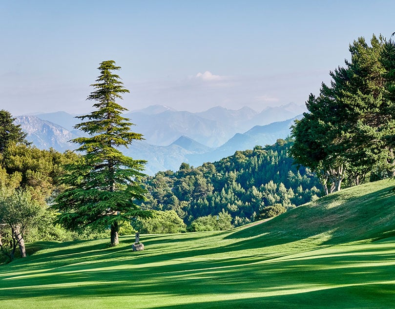 A pine tree on a green hill with mountains in the background.