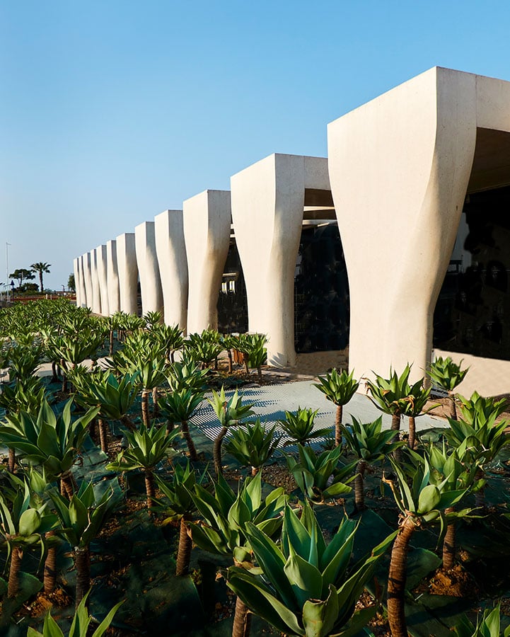 A plantation of small palm trees next to a modern building.