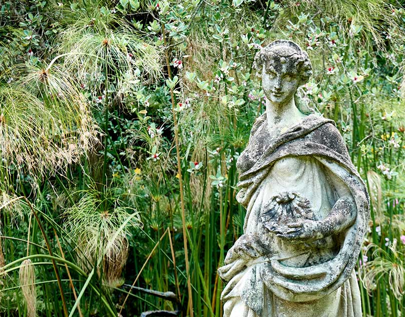 A sculpture surrounded by tall plants.