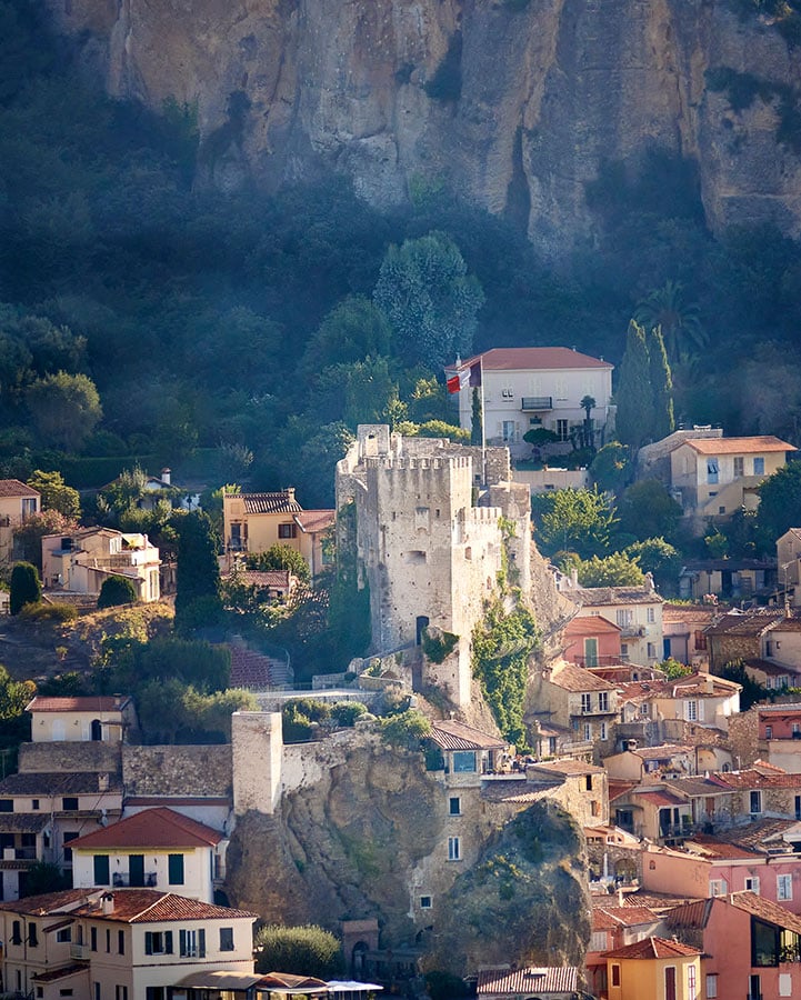 Houses surrounded by trees in the mountains.