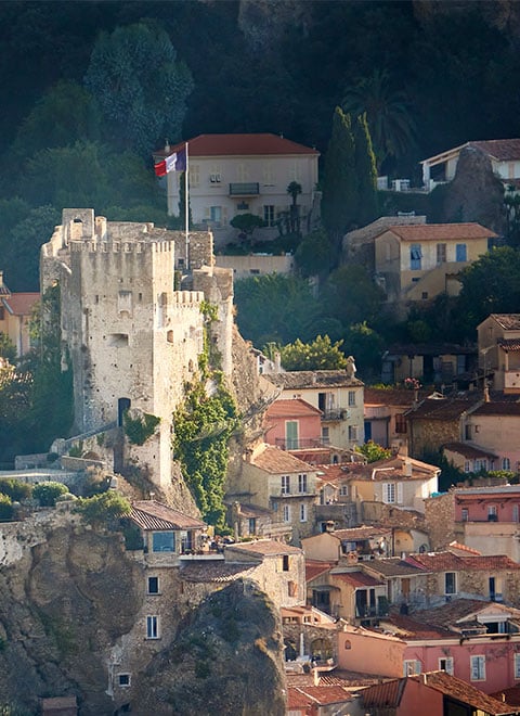 Houses in the mountains with trees around.