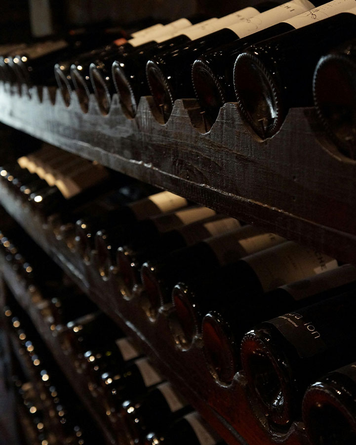 Rows of bottles of red wine
