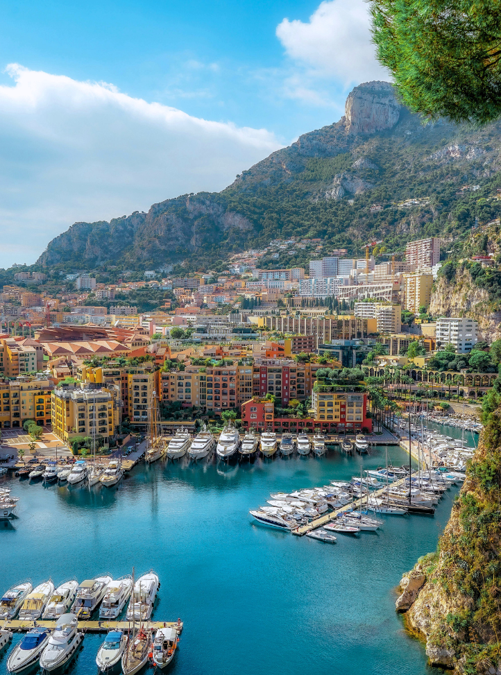 vue du port de Monaco et du vieux Monaco - View of Monaco harbour and of the Old Monaco