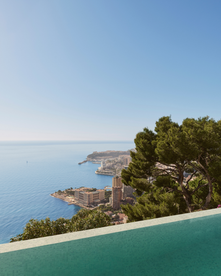 piscine et vue